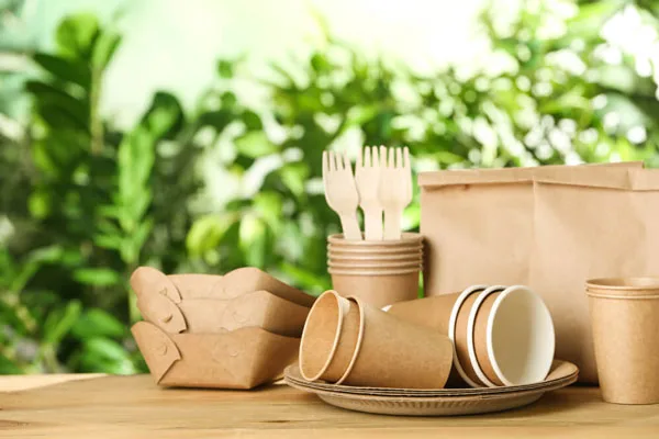 Biodegradable packaging products